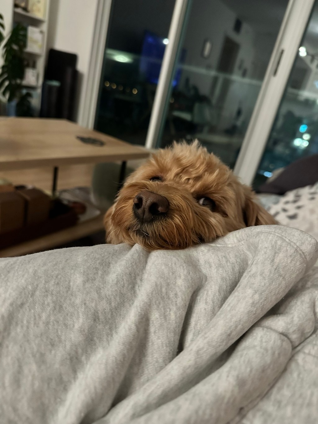 12 Months of&nbsp;Phoebe